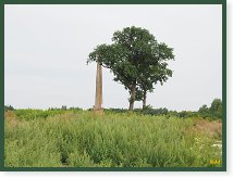 Martinský obelisk u Smečna           