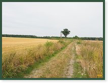 Martinský obelisk u Smečna       