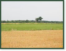 Martinský obelisk u Smečna         