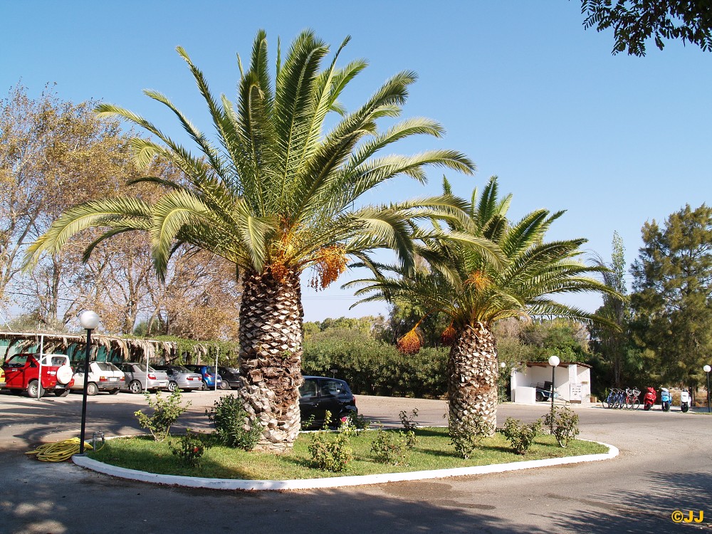   Dovolená v hotelu Archipelago na osrově Kos v Řecku