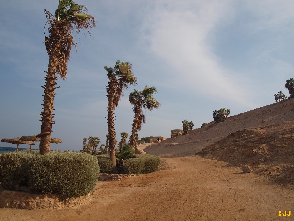 Dovolené v Egyptě
