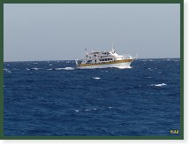 Dovolená v hotelu  Citadel Azur Resort v Egyptské Hurghadě      