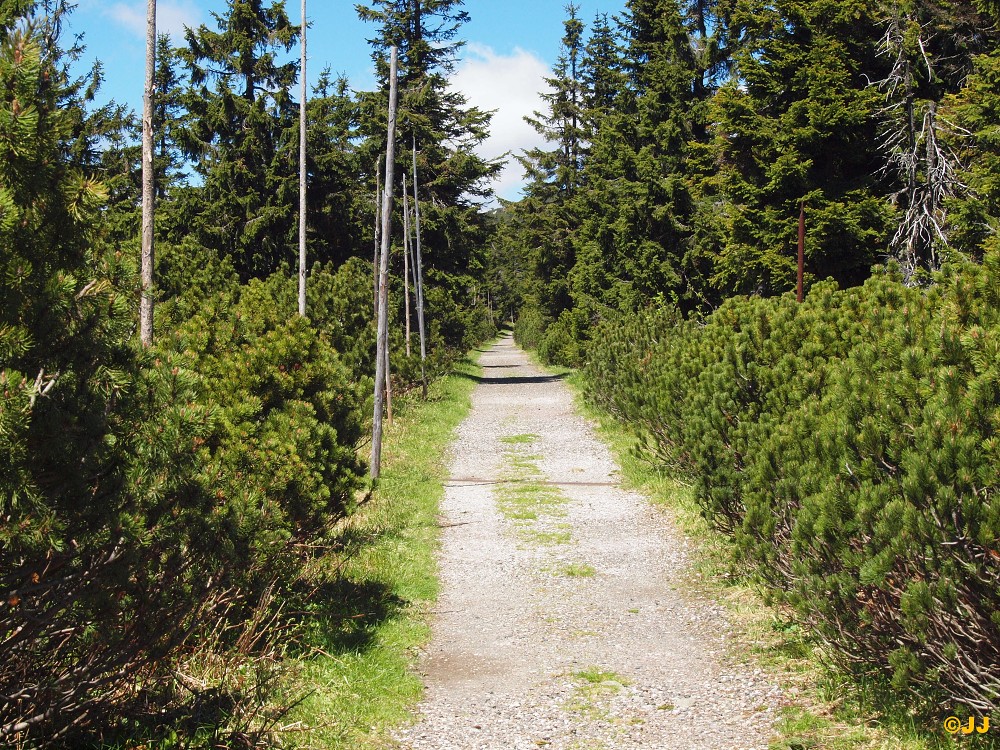   Krkonoše hotel Oddech