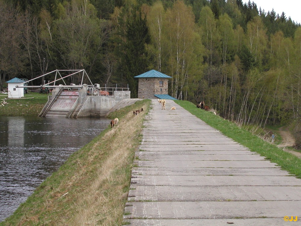 Dovolená na Šumavě v Srní 