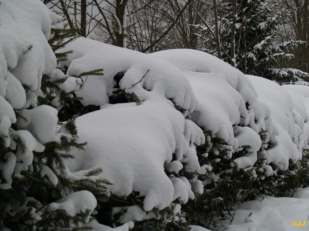 Velikonoce na Šumavě v Srní 2008