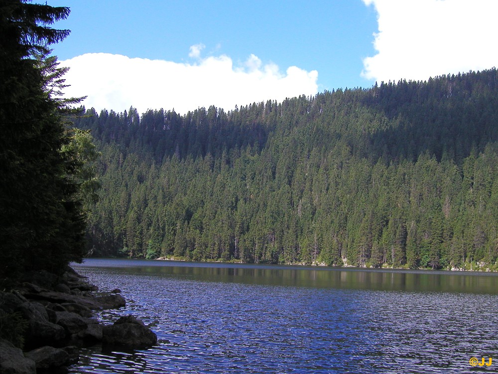   Dovolená - Železná Ruda, Špičák 