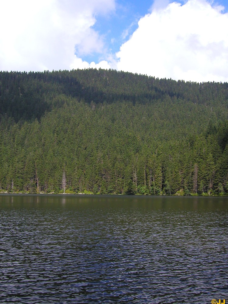   Dovolená - Železná Ruda, Špičák 